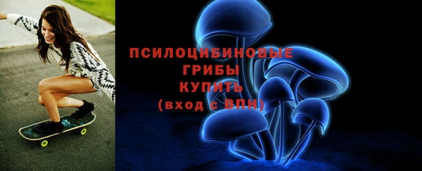 круглые Алзамай